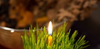 Danas katolički vernici proslavljaju Božić: Evo šta bi pravoslavci trebalo da urade na taj dan