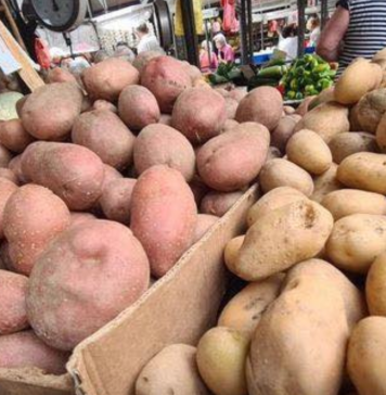 STRUČNJACI OTKRILI DA LI JE BOLJI CRVENI ILI BIJELI KROMPIR: Postoji velika razlika, a OVAJ KR0MPlR JE ZDRAVlJl….