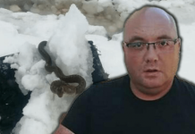 Zmije ispuzale usred zime! Vjeruje se da OVO nije dobar znak, a poznati zmijolovac upozorava – Dobro obratite pažnju na ovo!