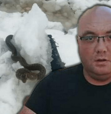 Zmije ispuzale usred zime! Vjeruje se da OVO nije dobar znak, a poznati zmijolovac upozorava – Dobro obratite pažnju na ovo!