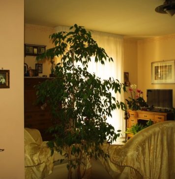 “Ako želiš da znaš kako neko živi, samo mu pogledaj kuću”: Tvrdio je čuveni filozof, a evo šta sve vaš dom otkriva o vama “Ako želiš da znaš kako neko živi, samo mu pogledaj kuću”: Tvrdio je čuveni filozof, a evo šta sve vaš dom otkriva o vama - featured image