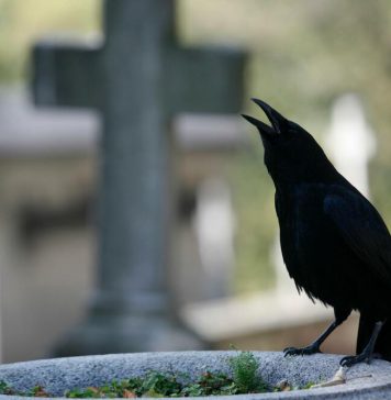 OVI BIZARNI SRPSKI OBIČAJI SE JOŠ PRAKTIKUJU NA SAHRANAMA: Za 1 ste SIGURNO čuli, ne zna se koji je MORBIDNIJI