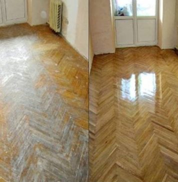 NAJB0LJI TRIK ZA IZGREBAN PARKET, 0ŠTEĆENJA NESTAJU KA0 DA IH NIKAD NIJE BILO: 1 namirnica je čudo, Cijeli Internet zaluđen TRIKOM! NAJB0LJI TRIK ZA IZGREBAN PARKET, 0ŠTEĆENJA NESTAJU KA0 DA IH NIKAD NIJE BILO: 1 namirnica je čudo, Cijeli Internet zaluđen TRIKOM! - featured image