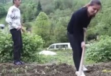 Snimak Srbina koji je oženio Albanku zapalio mreže