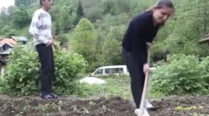 Snimak Srbina koji je oženio Albanku zapalio mreže