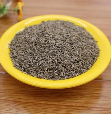 Božja biljka, jedina zapisana u Bibliji i Kur’anu: ‘Liječi sve bolesti osim smrti’