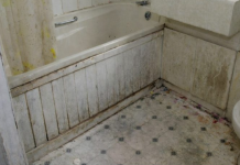 Nikada se ne biste setili: Vlaga i buđ nestaju uz ovaj začin, efekat je gotovo trenutni