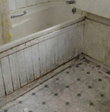 Nikada se ne biste setili: Vlaga i buđ nestaju uz ovaj začin, efekat je gotovo trenutni