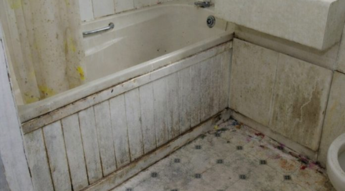 Nikada se ne biste setili: Vlaga i buđ nestaju uz ovaj začin, efekat je gotovo trenutni