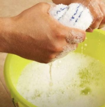 STAVITE KAP OVE TEČNOSTI U VODU I PREBRIŠITE KUĆU: 10 dana nećete videti prašinu – TRIK KOJI SE KORISTI U MUZEJU STAVITE KAP OVE TEČNOSTI U VODU I PREBRIŠITE KUĆU: 10 dana nećete videti prašinu – TRIK KOJI SE KORISTI U MUZEJU - featured image