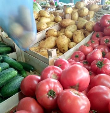 10 Nevjerovatnih Savjeta za Vrt Koji Će Ostaviti Suseda U Šoku – 5 Je Zapanjujući!