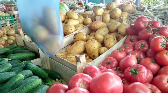 10 Nevjerovatnih Savjeta za Vrt Koji Će Ostaviti Suseda U Šoku – 5 Je Zapanjujući!