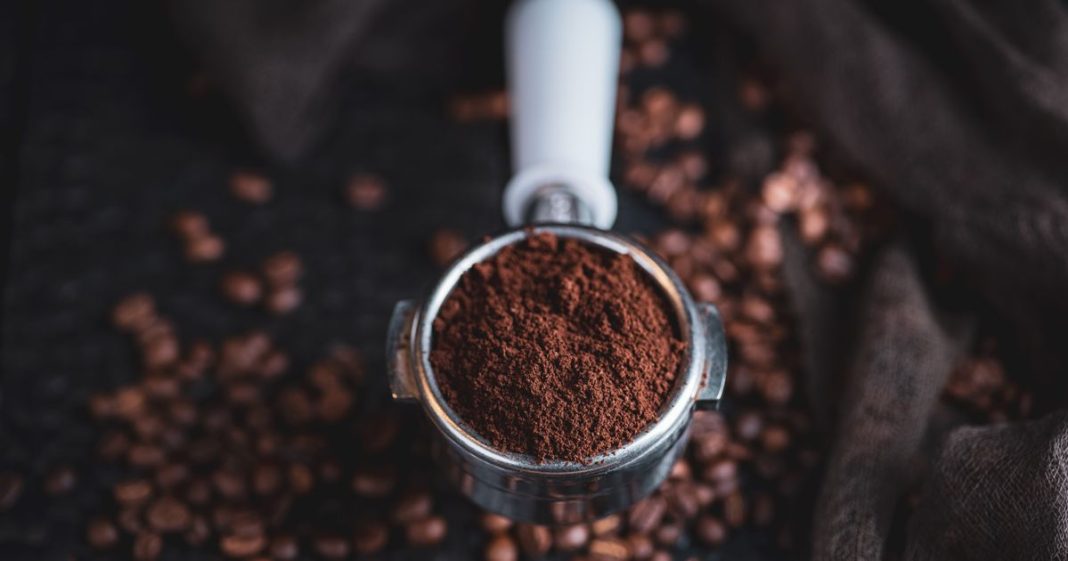 Niste ni svesni da imate blago u kući: Nikako ne bacajte talog za kafu, nećete verovati za šta će da posluži - featured image