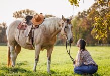 Devojka promenila boju kose, a REAKCIJA njenog KONJA postala hit na TikToku sa 2,1 milion pregleda Devojka promenila boju kose, a REAKCIJA njenog KONJA postala hit na TikToku sa 2,1 milion pregleda - featured image