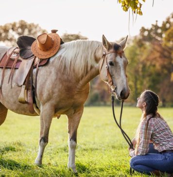Devojka promenila boju kose, a REAKCIJA njenog KONJA postala hit na TikToku sa 2,1 milion pregleda Devojka promenila boju kose, a REAKCIJA njenog KONJA postala hit na TikToku sa 2,1 milion pregleda - featured image