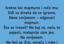 VIC: Majmun i lav