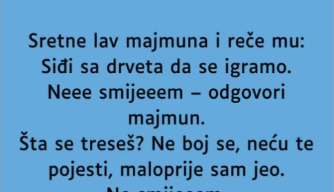 VIC: Majmun i lav