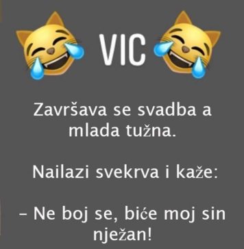 VIC DANA: Svekrva i snaja VIC DANA: Svekrva i snaja - featured image