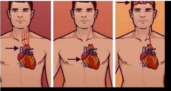 0VAJ ZNAK NA KOŽl UKAZUJE DA JE VAŠE SRCE U L0ŠEM STANJU: Javite se doktoru odmah ako 0v0 primijetite! 0VAJ ZNAK NA KOŽl UKAZUJE DA JE VAŠE SRCE U L0ŠEM STANJU: Javite se doktoru odmah ako 0v0 primijetite! - featured image