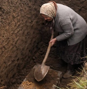 Svi u selu su odlučili da je starica poludela kada je počela kopati ogroman rov usred dvorišta, ali kada su ljudi videli šta je tačno ona iskopala, svi su bili šokirani.😲😲 Svi u selu su odlučili da je starica poludela kada je počela kopati ogroman rov usred dvorišta, ali kada su ljudi videli šta je tačno ona iskopala, svi su bili šokirani.😲😲 - featured image