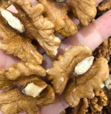 Doktori otkrivaju da jedenje oraha uzrokuje… Doktori otkrivaju da jedenje oraha uzrokuje… - featured image