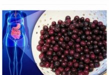 ZA OVO VOĆE KAŽU DA JE NAJZDRAVIJE NA SVIJETU: ubija ćelije raka, viruse i usporava starenje! (FOTO) ZA OVO VOĆE KAŽU DA JE NAJZDRAVIJE NA SVIJETU: ubija ćelije raka, viruse i usporava starenje! (FOTO) - featured image