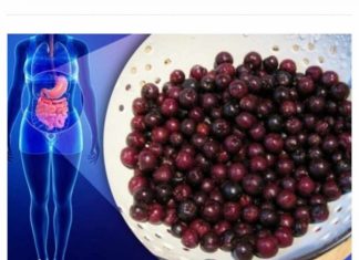 ZA OVO VOĆE KAŽU DA JE NAJZDRAVIJE NA SVIJETU: ubija ćelije raka, viruse i usporava starenje! (FOTO) ZA OVO VOĆE KAŽU DA JE NAJZDRAVIJE NA SVIJETU: ubija ćelije raka, viruse i usporava starenje! (FOTO) - featured image