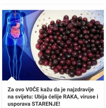 ZA OVO VOĆE KAŽU DA JE NAJZDRAVIJE NA SVIJETU: ubija ćelije raka, viruse i usporava starenje! (FOTO) ZA OVO VOĆE KAŽU DA JE NAJZDRAVIJE NA SVIJETU: ubija ćelije raka, viruse i usporava starenje! (FOTO) - featured image