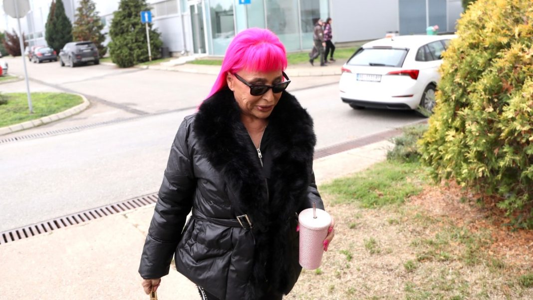 Koleginica progovorila o stanju Zorice Brunclik: 