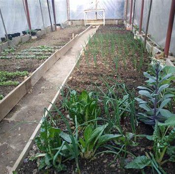 Pripremite baštu za proljeće: 6 saveta za uređenje – evo od čega treba početi Pripremite baštu za proljeće: 6 saveta za uređenje – evo od čega treba početi - featured image