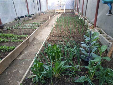 Pripremite baštu za proljeće: 6 saveta za uređenje – evo od čega treba početi Pripremite baštu za proljeće: 6 saveta za uređenje – evo od čega treba početi - featured image