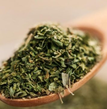 Najmoćnija biljka koja uništava parazite, infekcije mokraćnog sustava i mjehura, herpes i viruse gripe Najmoćnija biljka koja uništava parazite, infekcije mokraćnog sustava i mjehura, herpes i viruse gripe - featured image