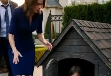 Tišina koja vrišti: Otac je zatekao decu u psećoj kućici – i odluka koja je sledila promenila je sve Tišina koja vrišti: Otac je zatekao decu u psećoj kućici – i odluka koja je sledila promenila je sve - featured image