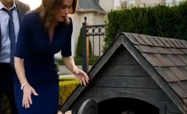 Tišina koja vrišti: Otac je zatekao decu u psećoj kućici – i odluka koja je sledila promenila je sve Tišina koja vrišti: Otac je zatekao decu u psećoj kućici – i odluka koja je sledila promenila je sve - featured image