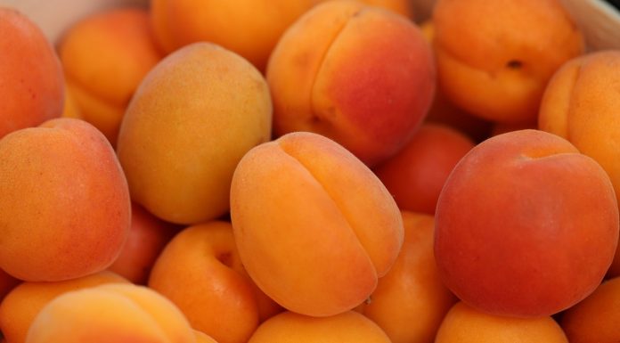 KAJSIJE: Zlatno voće koje čuva srce, vid i mladost kože KAJSIJE: Zlatno voće koje čuva srce, vid i mladost kože - featured image