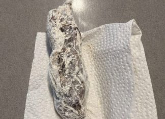 Pronašla sam nešto čudno u pakovanju brašna: odlučila sam otvoriti celofan da vidim šta je unutra… i kada sam shvatila šta je, bila sam potpuno šokirana. Pronašla sam nešto čudno u pakovanju brašna: odlučila sam otvoriti celofan da vidim šta je unutra… i kada sam shvatila šta je, bila sam potpuno šokirana. - featured image