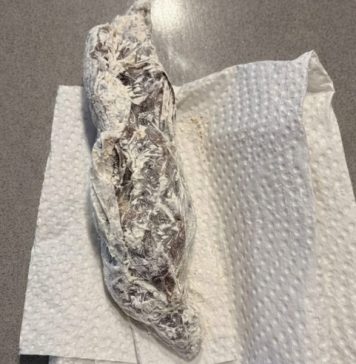 Pronašla sam nešto čudno u pakovanju brašna: odlučila sam otvoriti celofan da vidim šta je unutra… i kada sam shvatila šta je, bila sam potpuno šokirana. Pronašla sam nešto čudno u pakovanju brašna: odlučila sam otvoriti celofan da vidim šta je unutra… i kada sam shvatila šta je, bila sam potpuno šokirana. - featured image