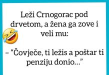 VIC DANA: Crnogorac i penzija VIC DANA: Crnogorac i penzija - featured image