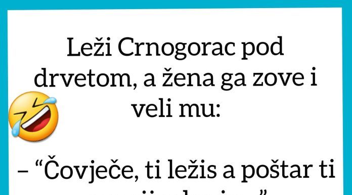 VIC DANA: Crnogorac i penzija VIC DANA: Crnogorac i penzija - featured image