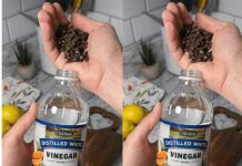 Uzmite čašu sirćeta, običnih karanfilića i dobro sačuvajte ovaj domaći trik: KORISTIM GA GODINAMA I PREPORUČUJEM SVIMA! Uzmite čašu sirćeta, običnih karanfilića i dobro sačuvajte ovaj domaći trik: KORISTIM GA GODINAMA I PREPORUČUJEM SVIMA! - featured image