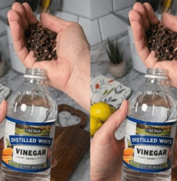 Uzmite čašu sirćeta, običnih karanfilića i dobro sačuvajte ovaj domaći trik: KORISTIM GA GODINAMA I PREPORUČUJEM SVIMA! Uzmite čašu sirćeta, običnih karanfilića i dobro sačuvajte ovaj domaći trik: KORISTIM GA GODINAMA I PREPORUČUJEM SVIMA! - featured image