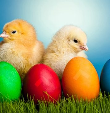 Pre Uskrsa obavezno unesite ovih 7 stvari u vaš doma: Veruje se da će vam doneti ogromnu sreću, dobro zdravlje, slogu i neverovatan uspeh Pre Uskrsa obavezno unesite ovih 7 stvari u vaš doma: Veruje se da će vam doneti ogromnu sreću, dobro zdravlje, slogu i neverovatan uspeh - featured image