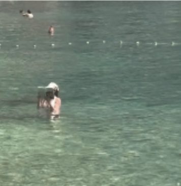 “Ovo je kraj svijeta” Žena snimljena u Crnoj Gori kako USRED MORA RADI OVO i internet je doslovno eksplodirao “Ovo je kraj svijeta” Žena snimljena u Crnoj Gori kako USRED MORA RADI OVO i internet je doslovno eksplodirao - featured image