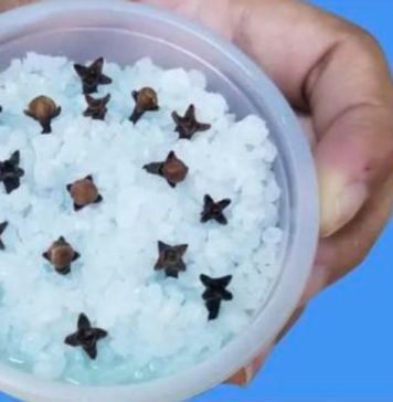 Kupatilo moje svekrve uvek lepo miriše, samo otvori vrata: 0V0 JE NJENA TAJNA! Kupatilo moje svekrve uvek lepo miriše, samo otvori vrata: 0V0 JE NJENA TAJNA! - featured image