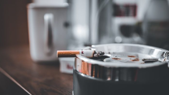 🚬 KUĆA SMRDI NA DIM? Riješite se neugodnog mirisa ZA 10 MINUTA – trik koji stvarno djeluje! 🧼✨ - featured image 🚬 KUĆA SMRDI NA DIM? Riješite se neugodnog mirisa ZA 10 MINUTA – trik koji stvarno djeluje! 🧼✨ - featured image