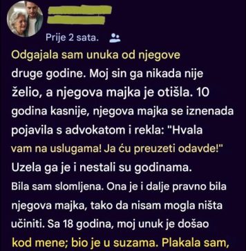 Odvela je mog unuka iako sam ga ja odgajila — godinama kasnije vratio se kao potpuno drugačija osoba… Odvela je mog unuka iako sam ga ja odgajila — godinama kasnije vratio se kao potpuno drugačija osoba… - featured image