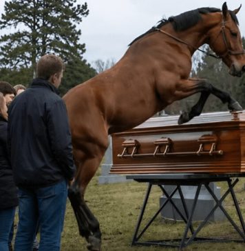 Tokom sahrane 60-godišnjeg farmera, njegov verni konj upao je na groblje dok su nekoliko muškaraca pokušavali da zaustave razbesnelu životinju, a zatim je počeo besno udarati poklopac kovčega kopitima: svi prisutni su ukočeni od straha stajali dok se poklopac otvoriо i videli šta je bilo sakriveno unutra 😱 Tokom sahrane 60-godišnjeg farmera, njegov verni konj upao je na groblje dok su nekoliko muškaraca pokušavali da zaustave razbesnelu životinju, a zatim je počeo besno udarati poklopac kovčega kopitima: svi prisutni su ukočeni od straha stajali dok se poklopac otvoriо i videli šta je bilo sakriveno unutra 😱 - featured image