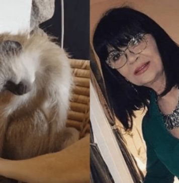 Nada Obrić živela sa majmunom, hranila ga, sa sobom vodila: Nije ni slutila šta će je te večeri snaći u podrumu Nada Obrić živela sa majmunom, hranila ga, sa sobom vodila: Nije ni slutila šta će je te večeri snaći u podrumu - featured image