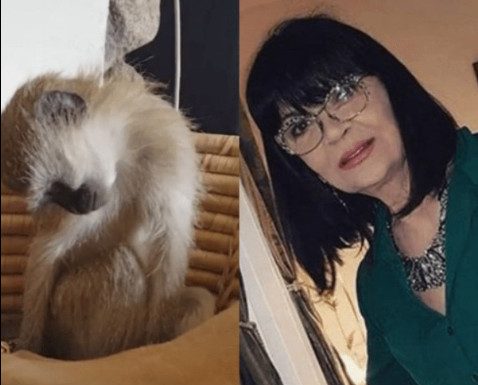 Nada Obrić živela sa majmunom, hranila ga, sa sobom vodila: Nije ni slutila šta će je te večeri snaći u podrumu Nada Obrić živela sa majmunom, hranila ga, sa sobom vodila: Nije ni slutila šta će je te večeri snaći u podrumu - featured image