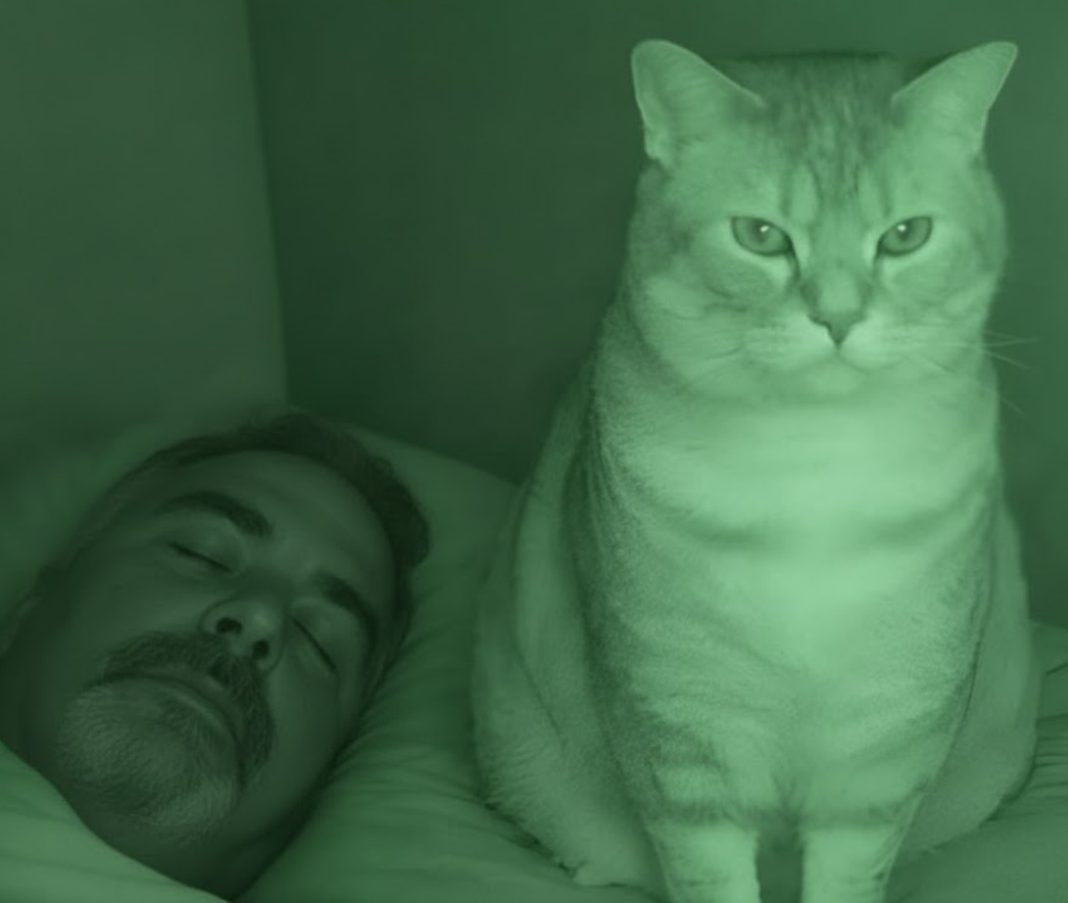Nisam razumela zašto nas mačka svake noći posmatra mene i mog muža dok spavamo. - featured image